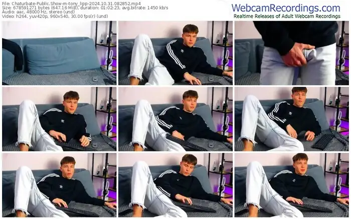 2024/10/31/chaturbate-tony_lipp-08-28-52