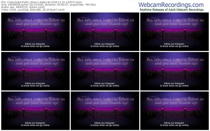 2024/11/01/chaturbate-8abycat-19-25-37