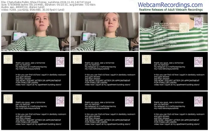 2024/11/01/chaturbate-honey_sunshine-14-27-47