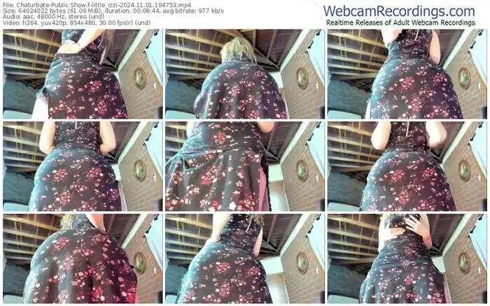 2024/11/01/chaturbate-little_izzi-19-47-53