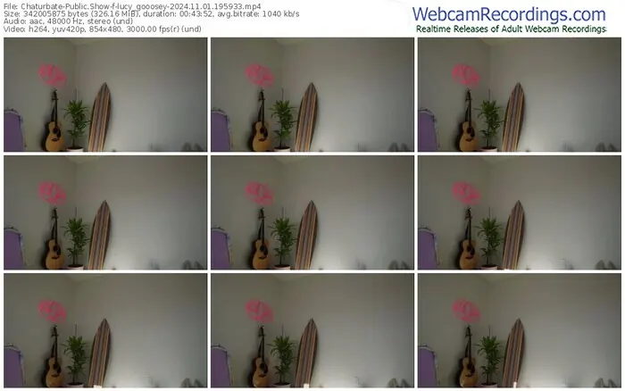2024/11/01/chaturbate-lucy_gooosey-19-59-33