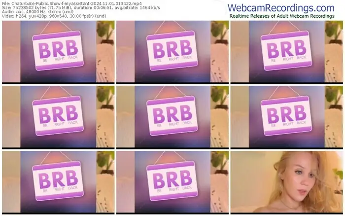 2024/11/01/chaturbate-myassistant-01-34-22
