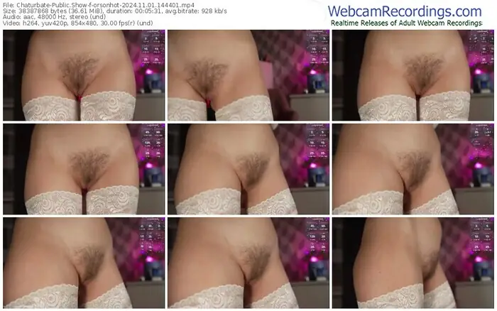 2024/11/01/chaturbate-orsonhot-14-44-01