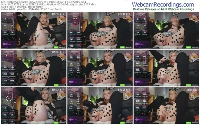 2024/11/01/chaturbate-princess_sofiee-02-28-45