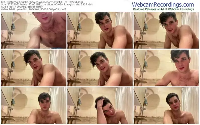 2024/11/01/chaturbate-waynenorth-18-27-51