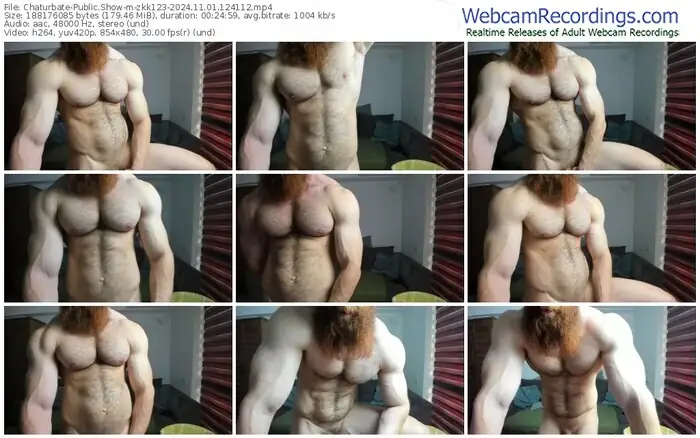 2024/11/01/chaturbate-zkk123-12-41-12
