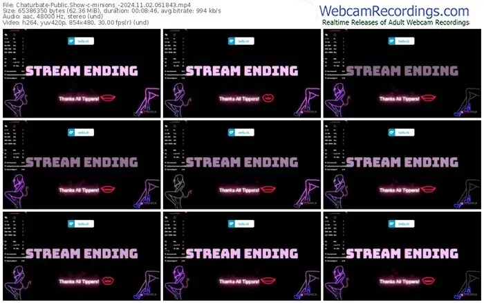 2024/11/02/chaturbate-minions_-06-18-43