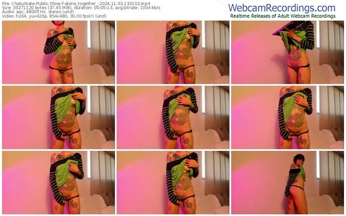 2024/11/02/chaturbate-alone_together_-13-31-02