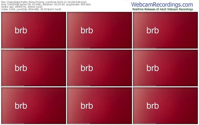 2024/11/02/chaturbate-honey_sunshine-09-16-48