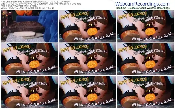 2024/11/02/chaturbate-indrablack-17-12-43