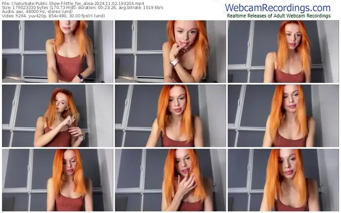 2024/11/02/chaturbate-little_fox_alisa-19-32-04
