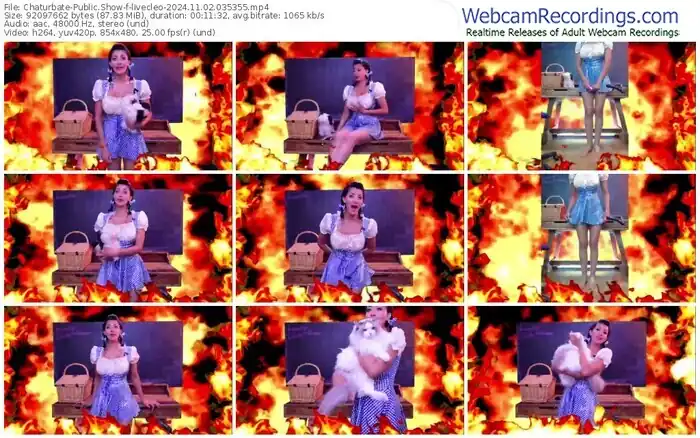 2024/11/02/chaturbate-livecleo-03-53-55