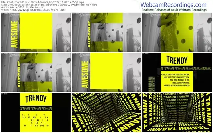 2024/11/02/chaturbate-taanni_bc-14-35-56