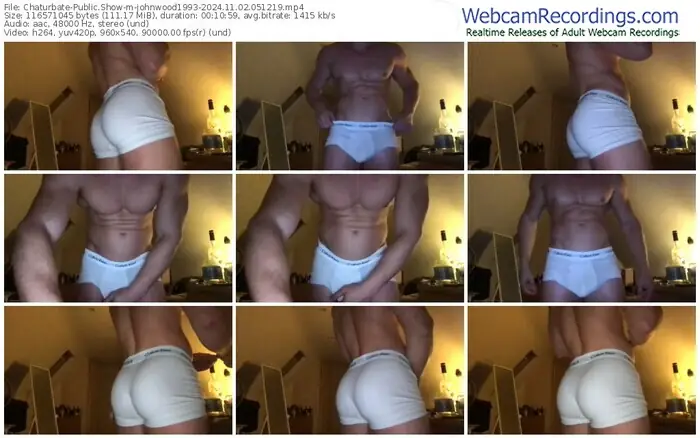 2024/11/02/chaturbate-johnwood1993-05-12-19
