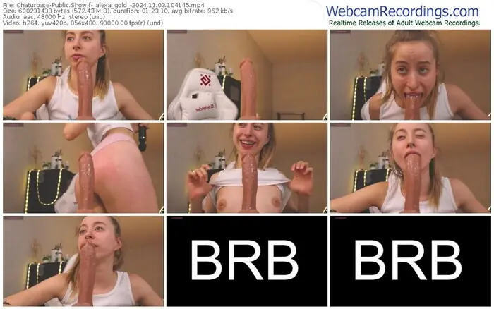 2024/11/03/chaturbate-_alexa_gold_-10-41-45