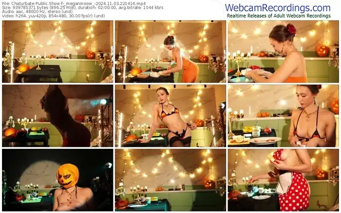 2024/11/03/chaturbate-_meganmeow_-22-14-16