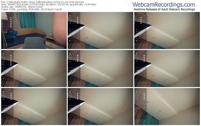 2024/11/03/chaturbate-aftonbunkers-22-41-28