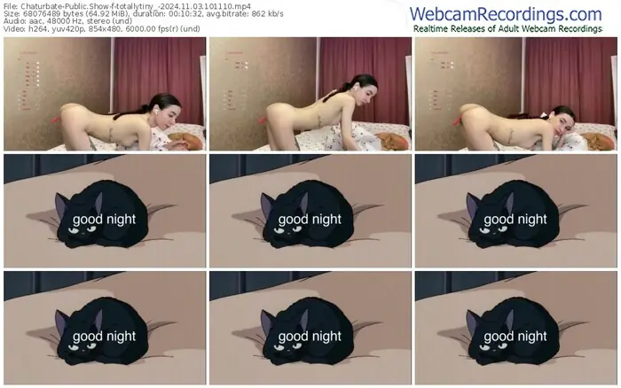 2024/11/03/chaturbate-totallytiny_-10-11-10