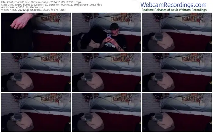 2024/11/03/chaturbate-baeell-12-35-01