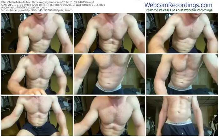 2024/11/03/chaturbate-gingernospice-14-07-56
