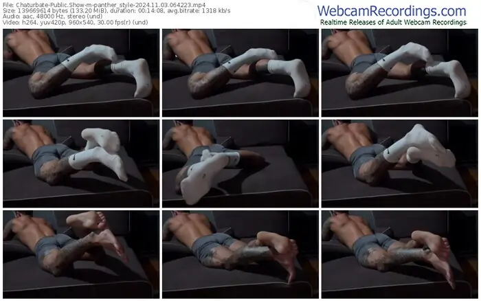 2024/11/03/chaturbate-panther_style-06-42-23