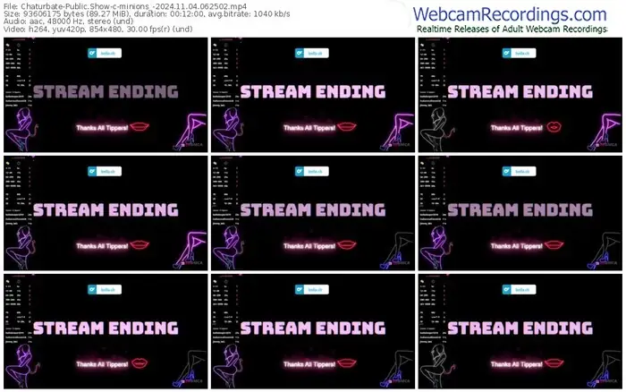 2024/11/04/chaturbate-minions_-06-25-02