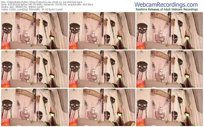 2024/11/04/chaturbate-amelia_lov-06-03-29