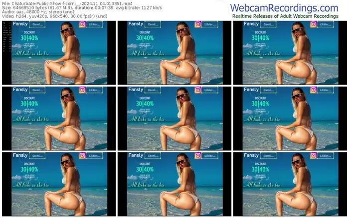 2024/11/04/chaturbate-corni__-01-33-51