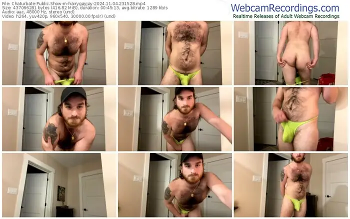 2024/11/04/chaturbate-hairygayjay-23-15-28