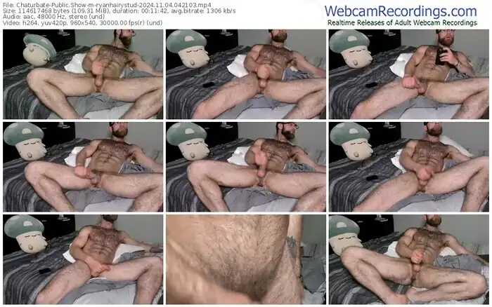 2024/11/04/chaturbate-ryanhairystud-04-21-03