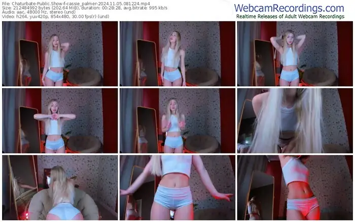 2024/11/05/chaturbate-cassie_palmer-08-12-24