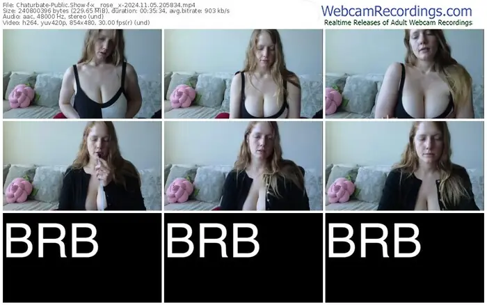 2024/11/05/chaturbate-x__rose__x-20-58-34