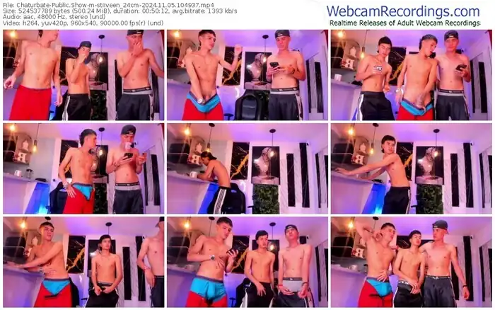 2024/11/05/chaturbate-stiiveen_24cm-10-49-37