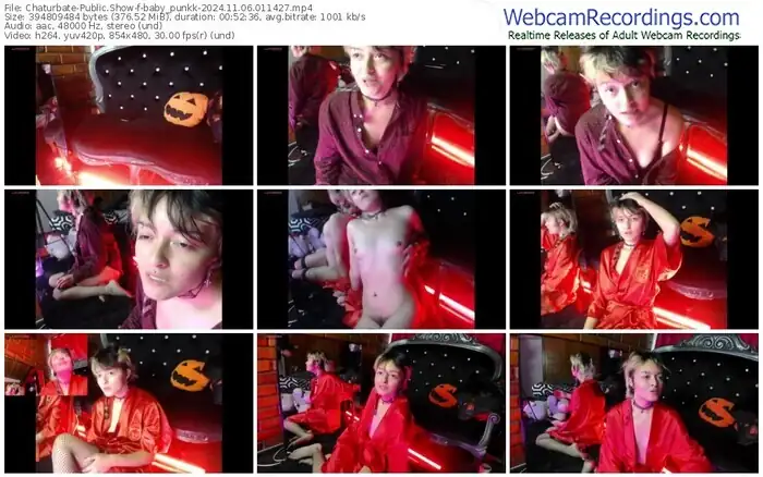 2024/11/06/chaturbate-baby_punkk-01-14-27