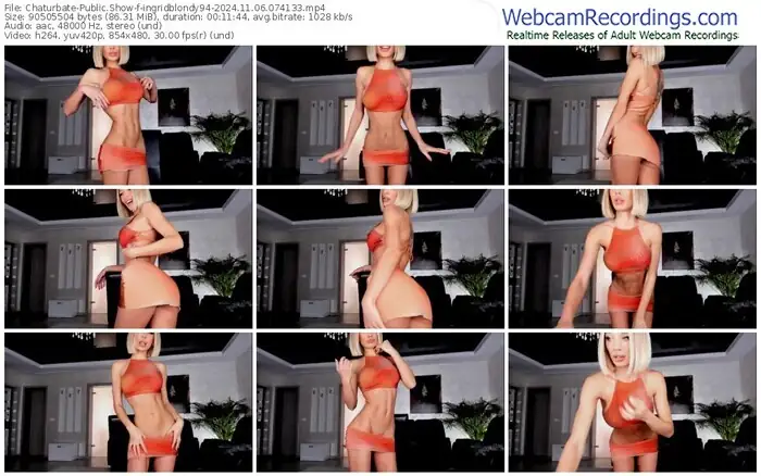 2024/11/06/chaturbate-ingridblondy94-07-41-33