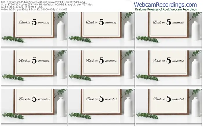 2024/11/06/chaturbate-viktoria_www-21-55-43