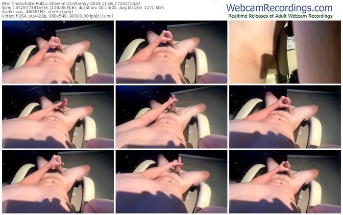 2024/11/06/chaturbate-21nhornyy-17-23-27