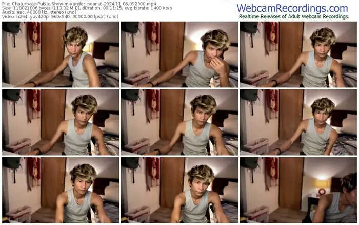 2024/11/06/chaturbate-xander_peanut-09-29-00