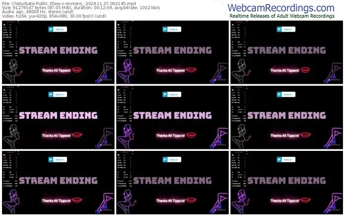 2024/11/07/chaturbate-minions_-06-21-45