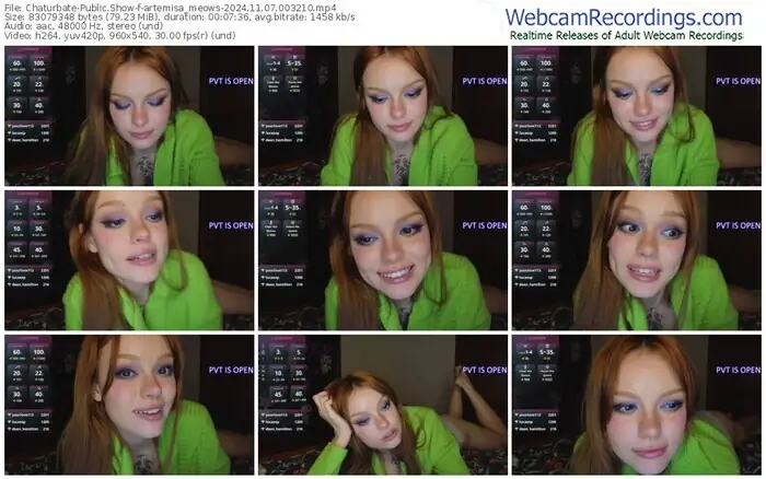 2024/11/07/chaturbate-artemisa_meows-00-32-10