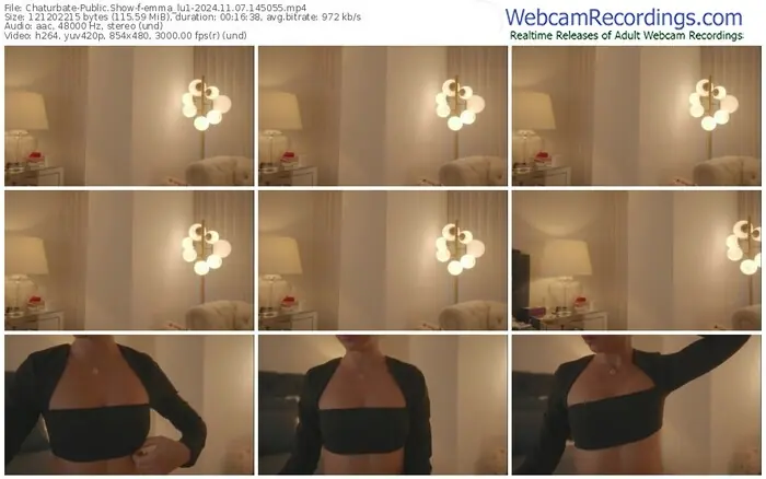 2024/11/07/chaturbate-emma_lu1-14-50-55