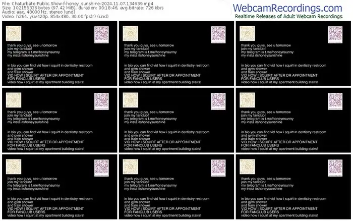 2024/11/07/chaturbate-honey_sunshine-13-46-39