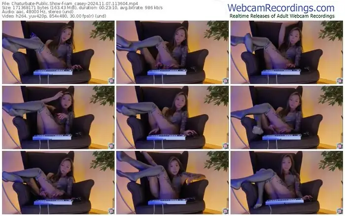 2024/11/07/chaturbate-iam_casey-11-36-04