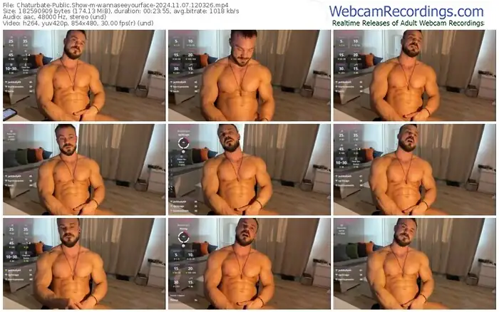 2024/11/07/chaturbate-wannaseeyourface-12-03-26
