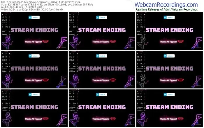 2024/11/08/chaturbate-minions_-06-38-25