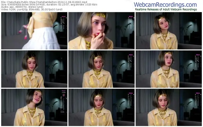 2024/11/08/chaturbate-taitehambelton-01-46-42