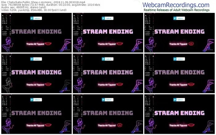 2024/11/09/chaturbate-minions_-06-30-18