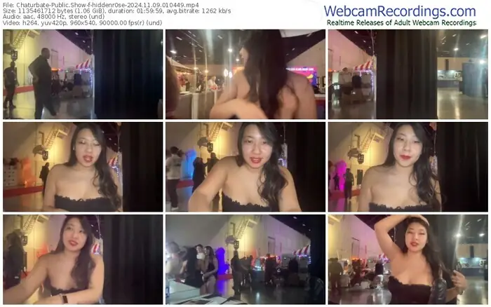 2024/11/09/chaturbate-hiddenr0se-01-04-49