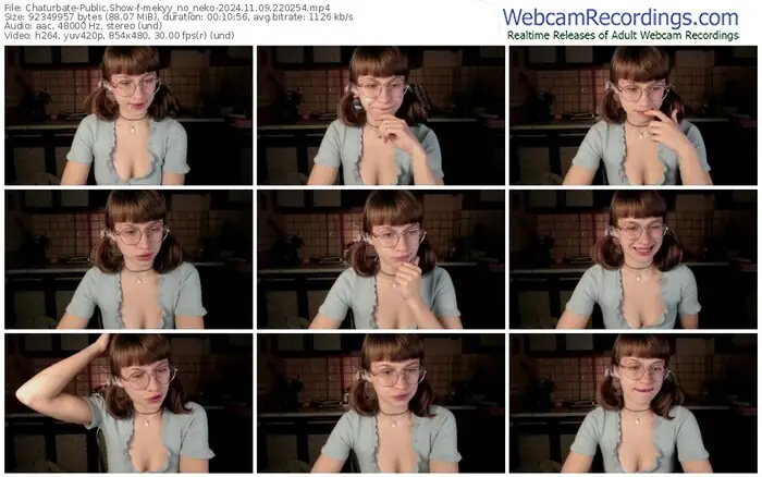 2024/11/09/chaturbate-mekyy_no_neko-22-02-54