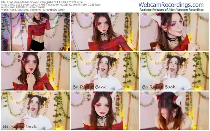 2024/11/09/chaturbate-shiny_jail-20-51-21